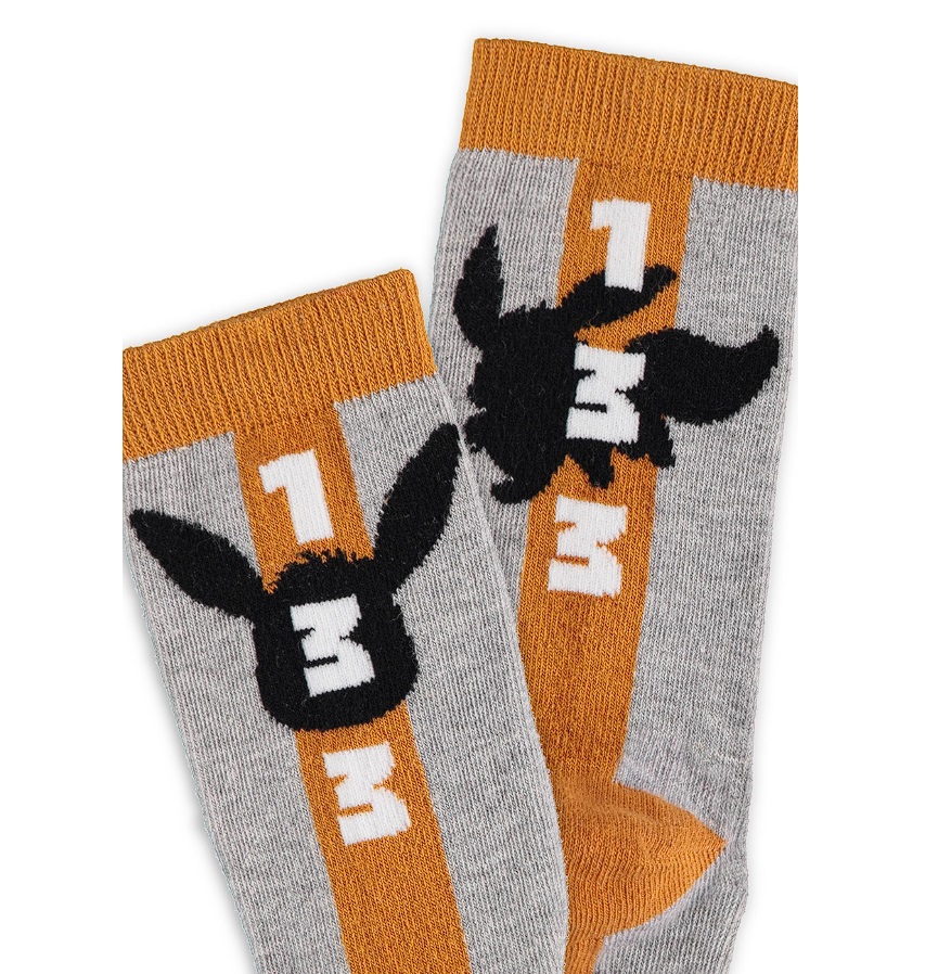 Eevee Socks